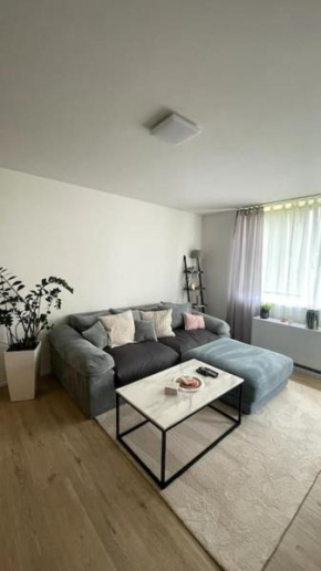 Zentrale und gemütliche Wohnung in Neuss